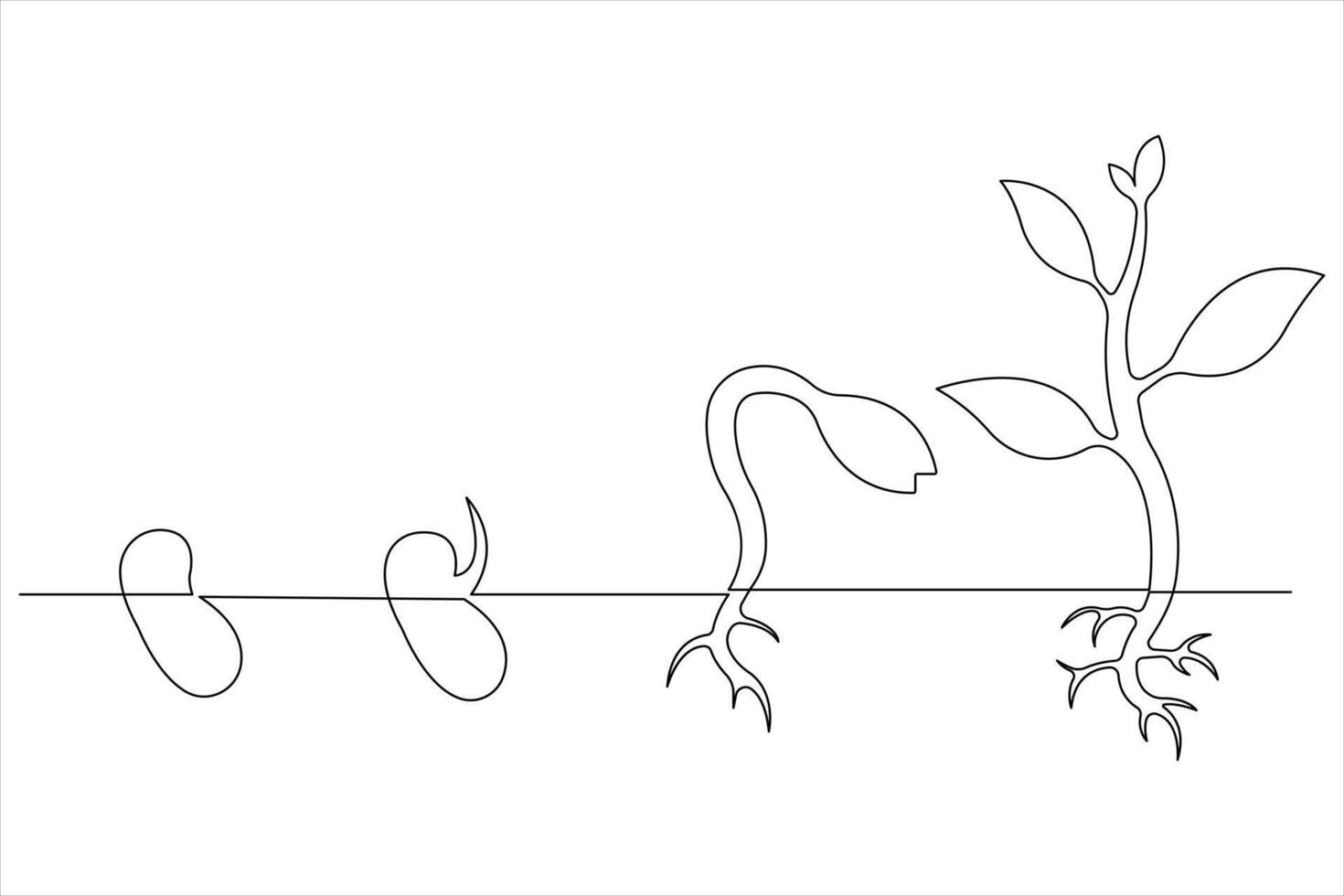 One continuous line drawing Plant growth process vector