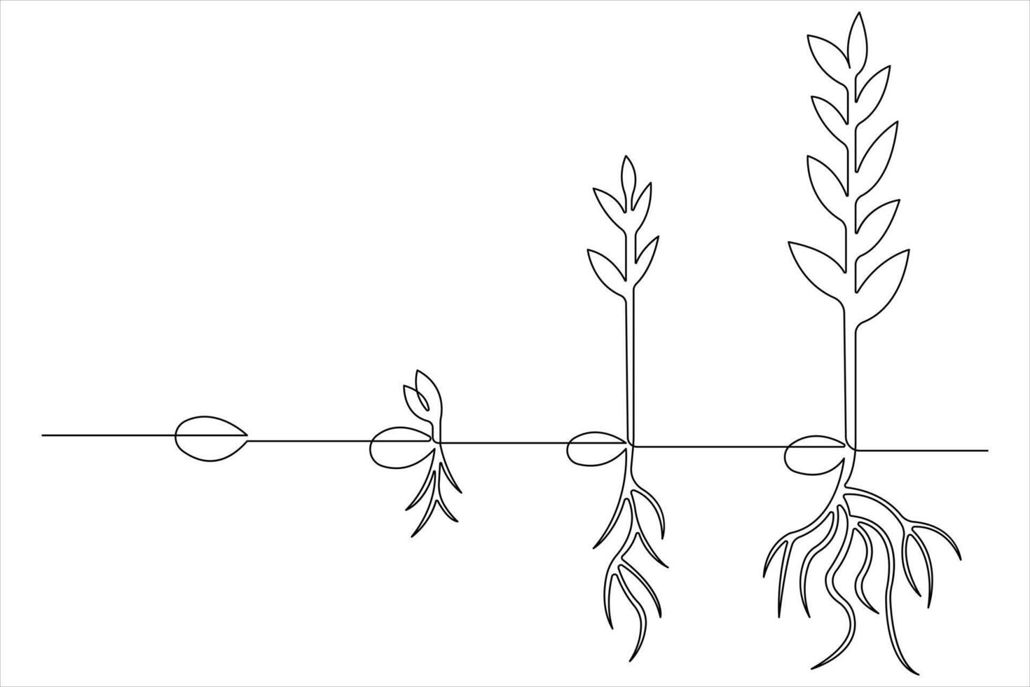 One continuous line drawing Plant growth process vector