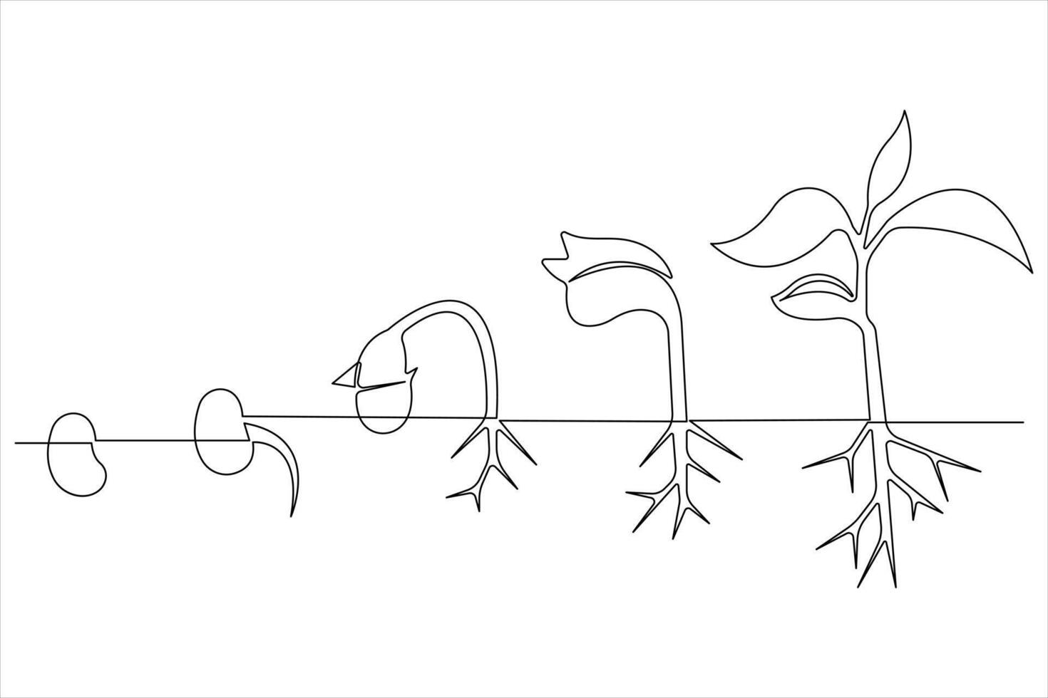 One continuous line drawing Plant growth process vector
