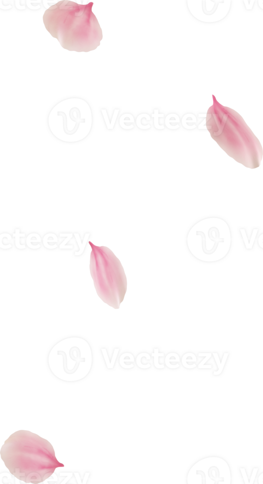 floating cherry blossom petals png