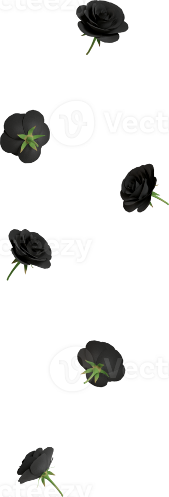 dark symbol of black rose flower png