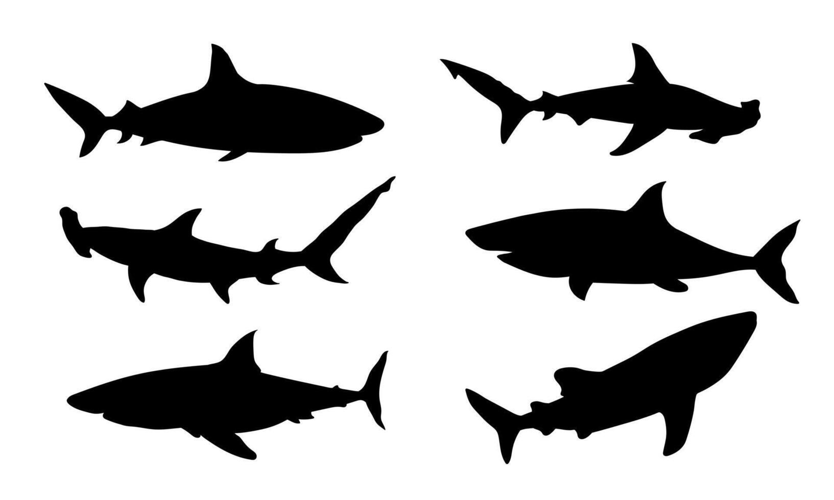 Shark silhouette illustration. Martil shark silhouette, whale shark symbol. vector