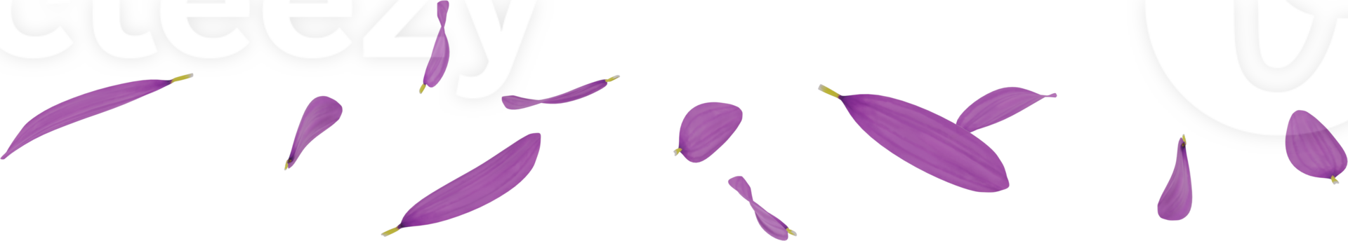 flying purple daisy petals in the air png