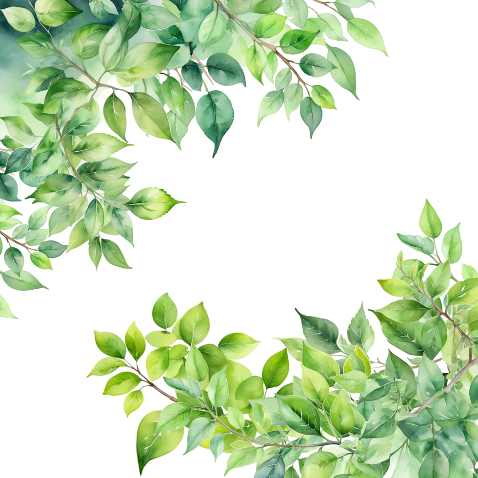 Leaves frame background, watercolor branch isolated border png