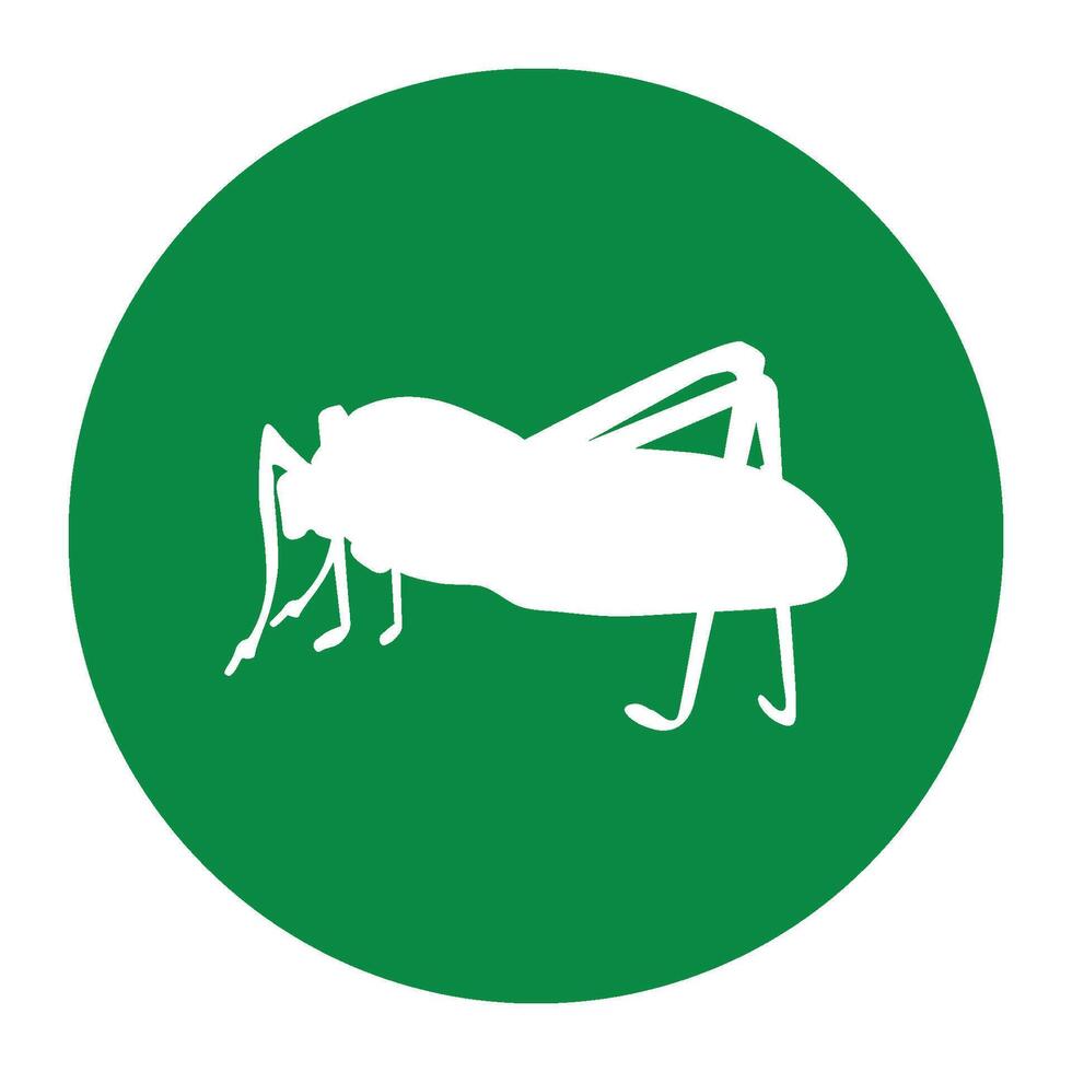 katydid grasshopper icon vector