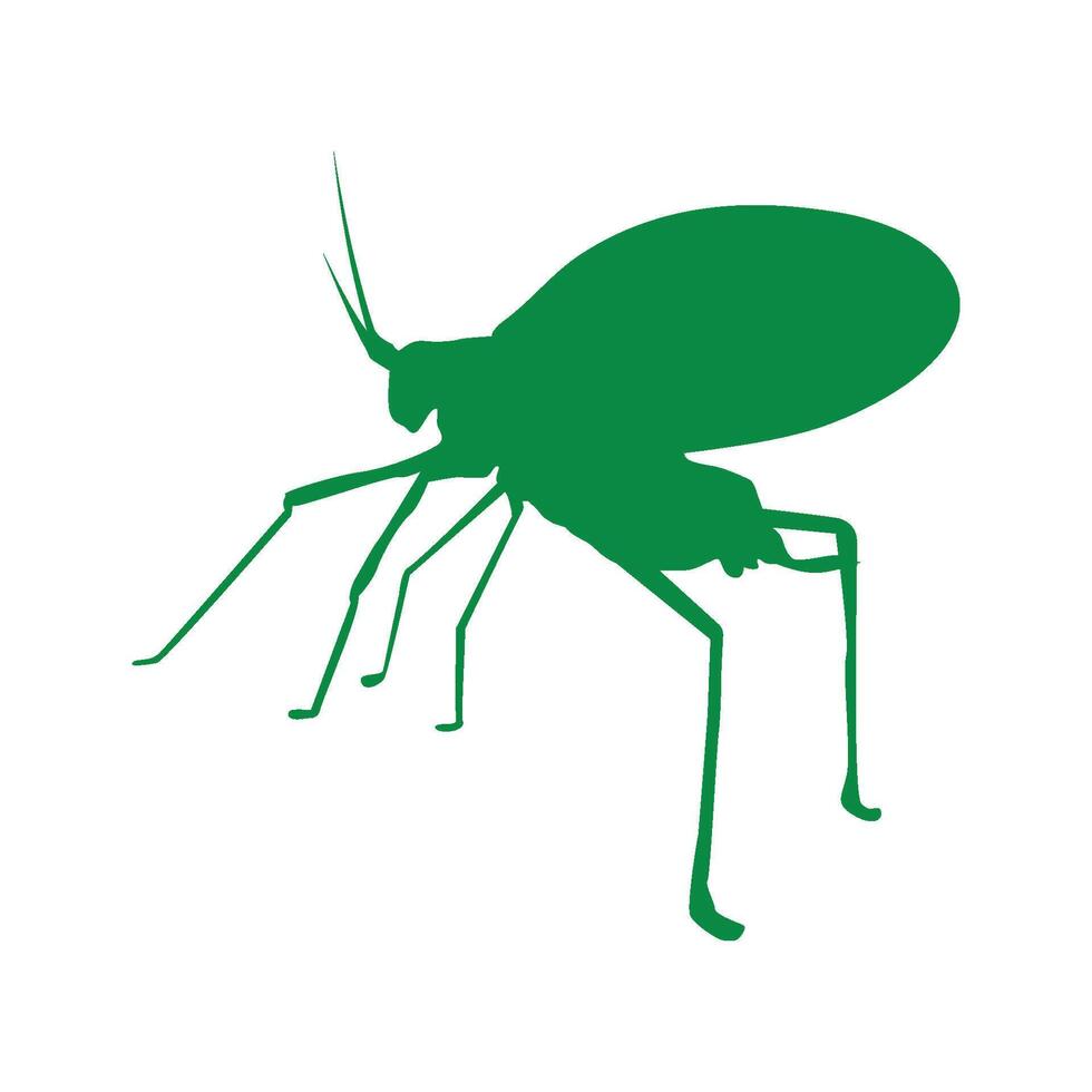 katydid grasshopper icon vector