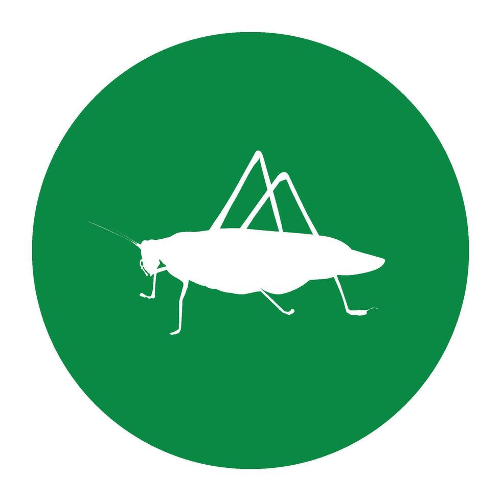 katydid grasshopper icon vector