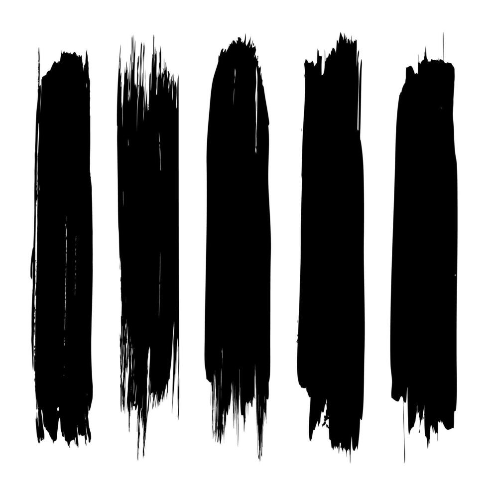 Set of brush stoke on white background vector