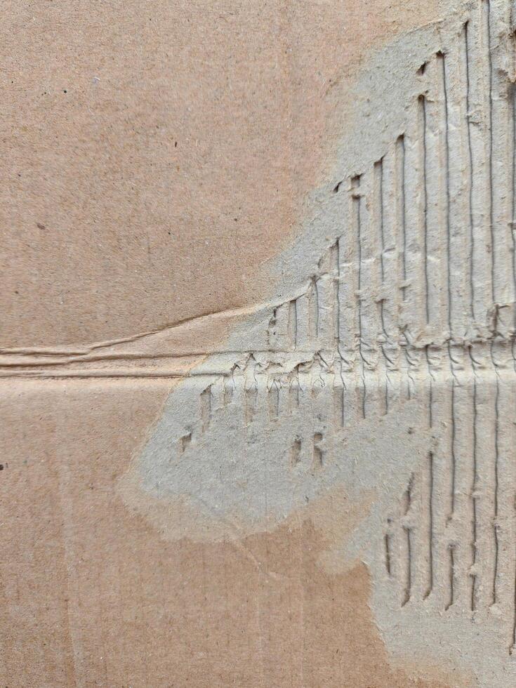 ripped cardboard texture for poster. torn card board photo
