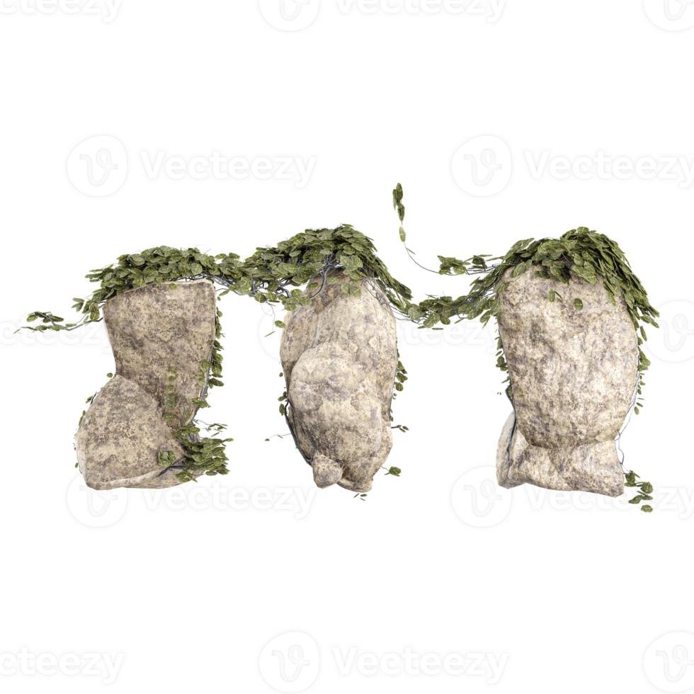 Architectural creeping green penny ferns on the tree trunk from top view side,3d illustration png