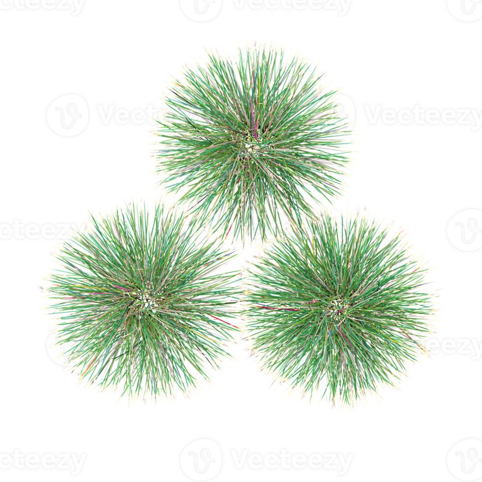 grass with whitte background.3d rendering png