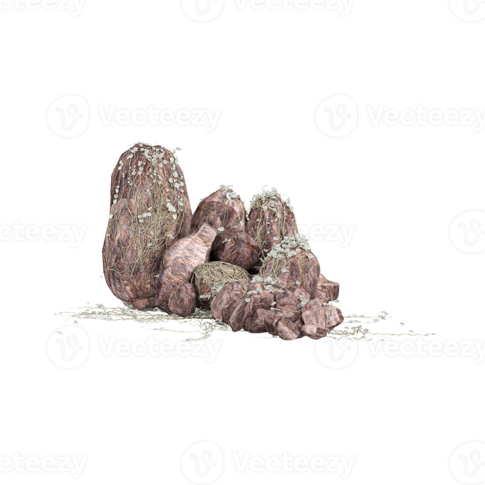 Architectural creeping green penny ferns on the tree trunk from top view side png