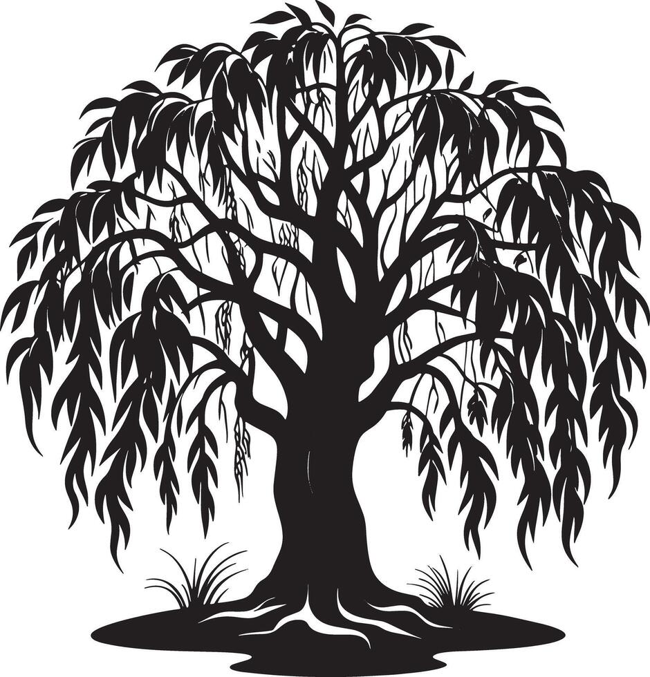 Willow tree silhouette black and white illustration vector