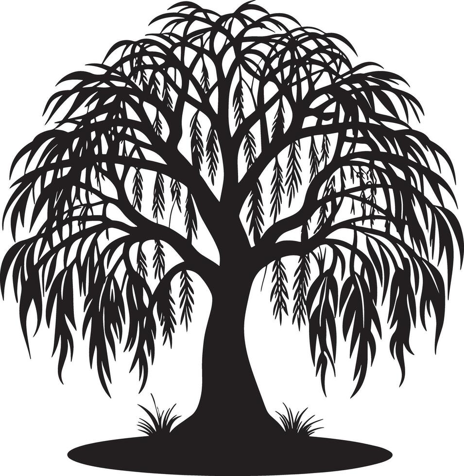 Willow tree silhouette black and white illustration vector