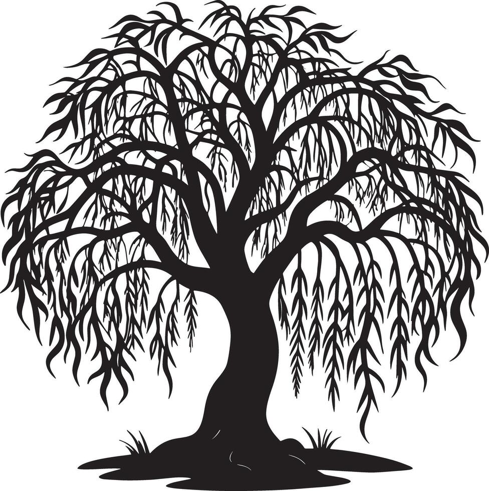 Willow tree silhouette black and white illustration vector