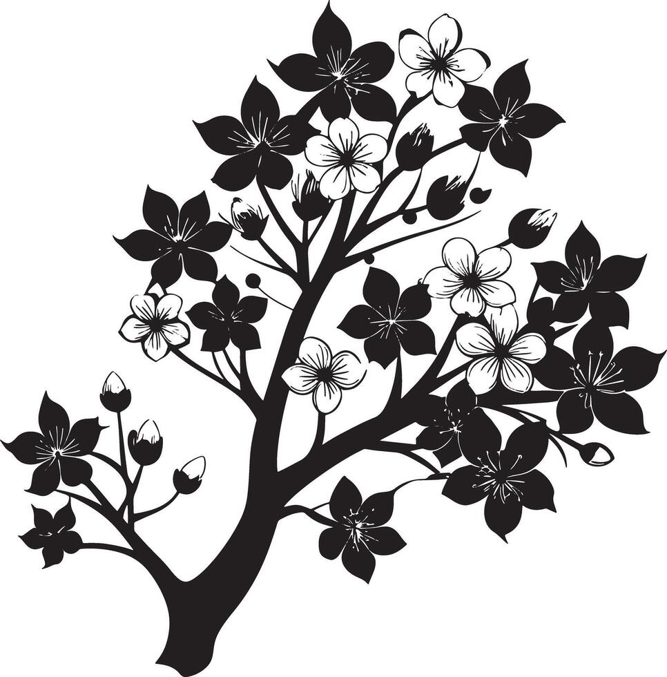 black silhouette illustration vintage Cherry Blossom , isolated design on white background, vector