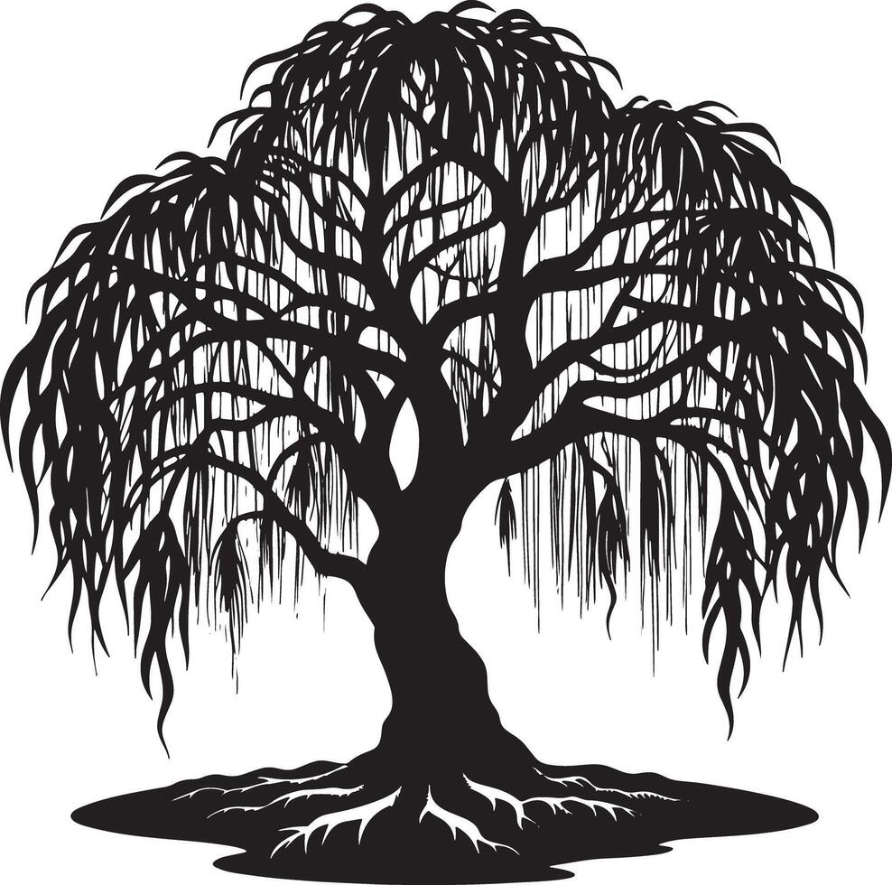 Willow tree silhouette black and white illustration vector