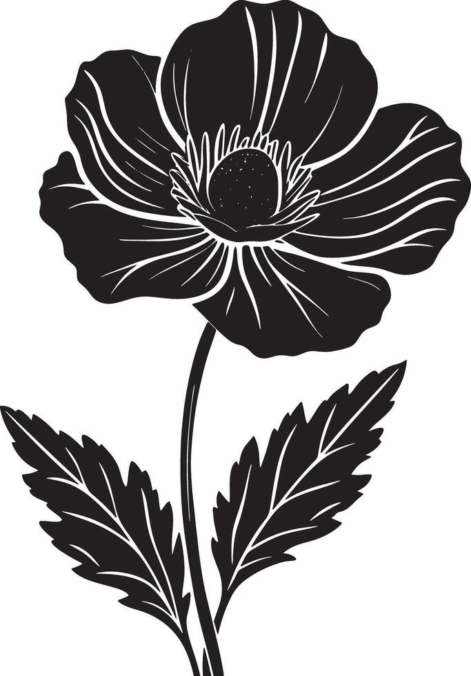 hand drawn flower illustration black and white vector