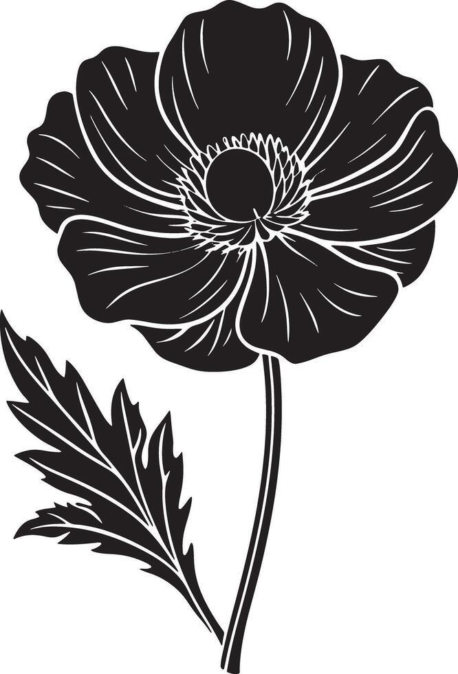 hand drawn flower illustration black and white vector