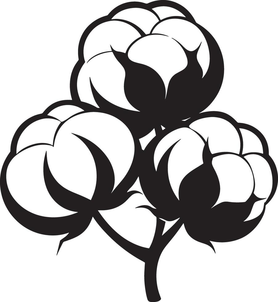 cotton flower illustration black and white vector