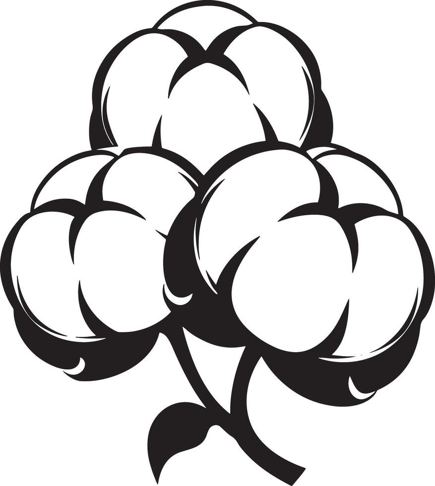 cotton flower illustration black and white vector