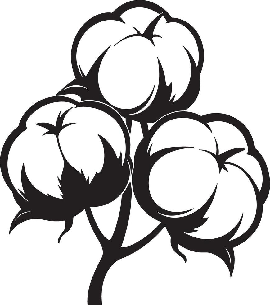 cotton flower illustration black and white vector