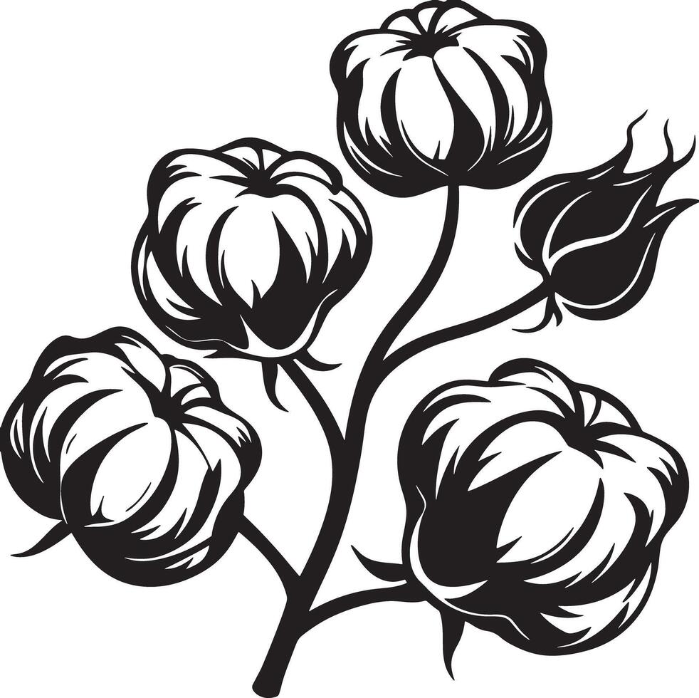cotton flower illustration black and white vector