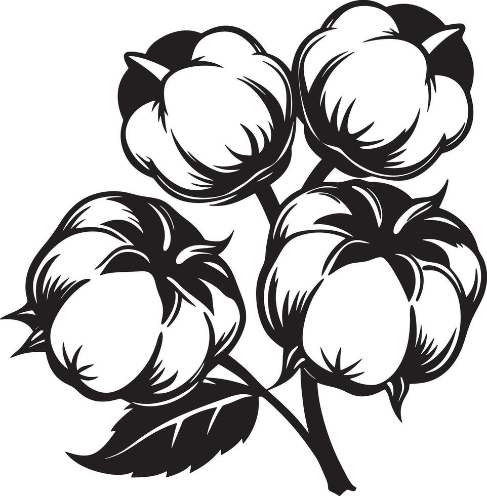 cotton flower illustration black and white vector