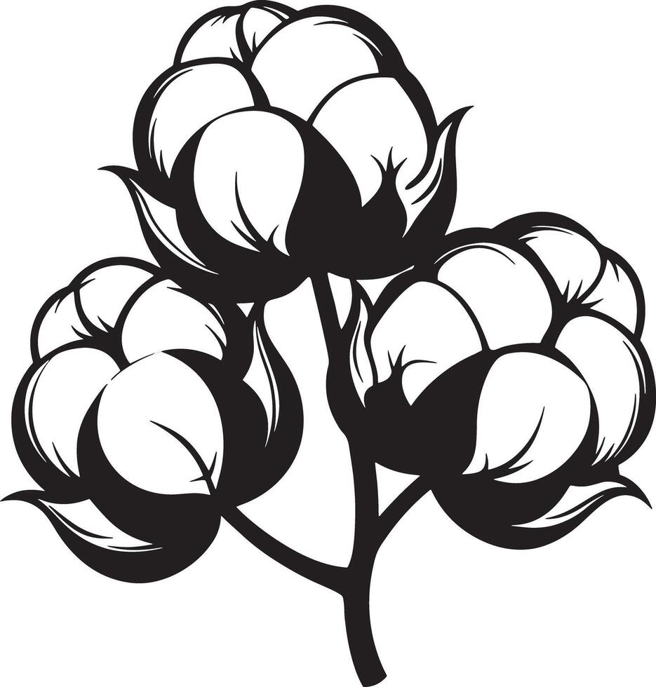 cotton flower illustration black and white vector