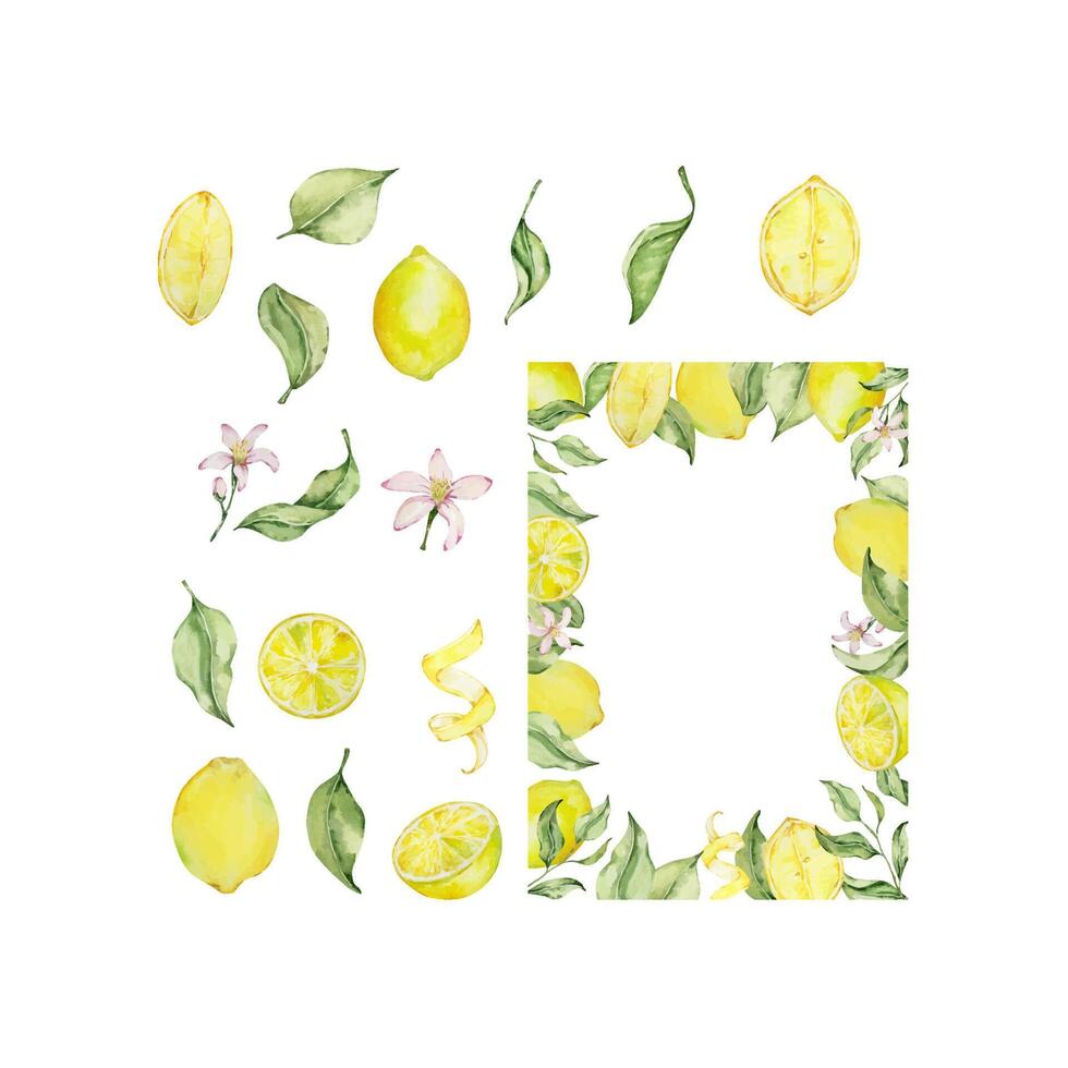 Watercolor lemon frame set with fruit, slice, leaves and flowers vector