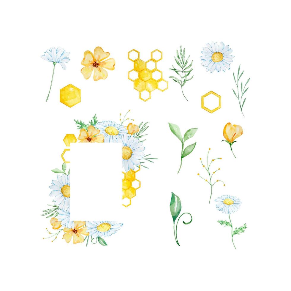 Watercolor chamomile frame vector