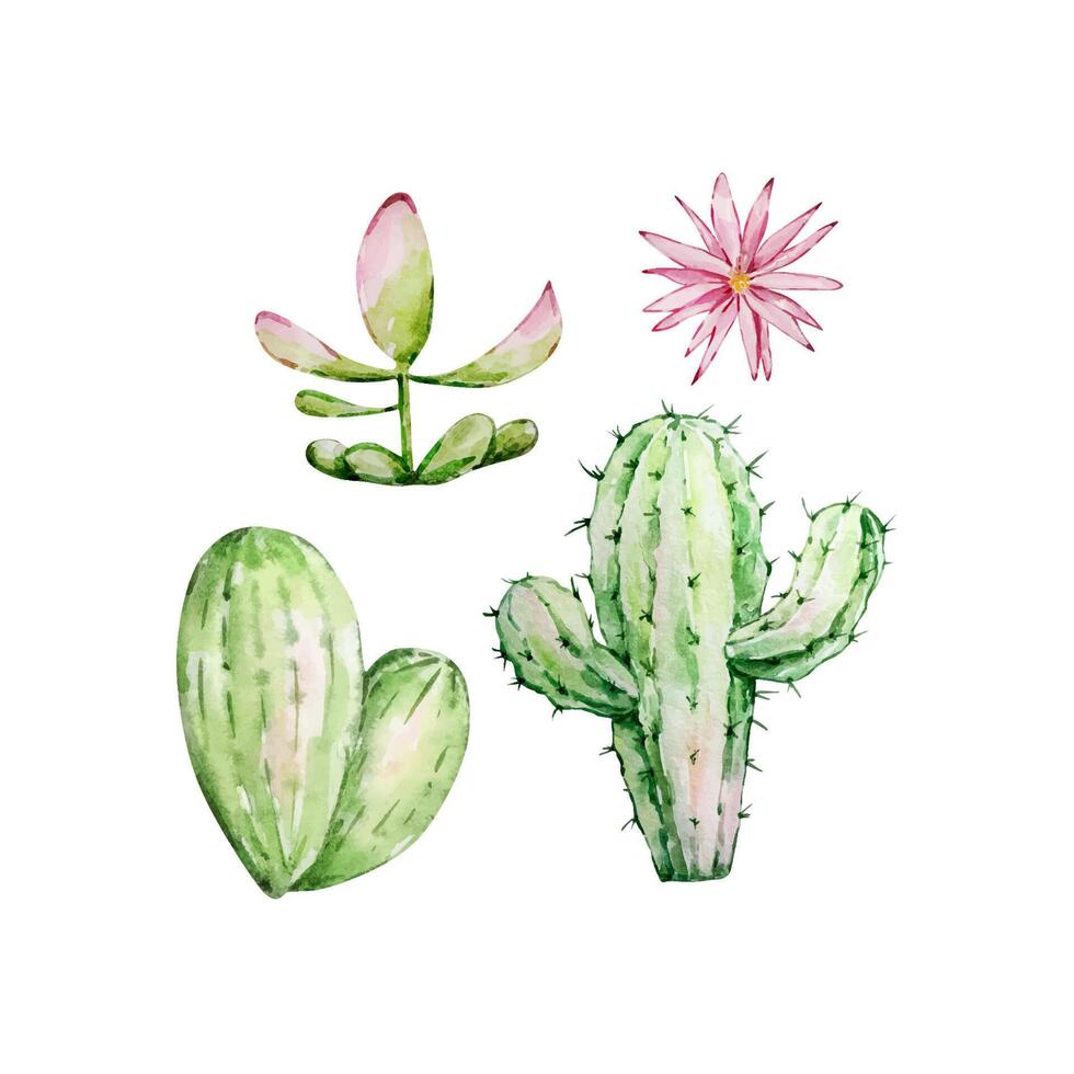 Watercolor cactus set, desert mexican plants vector