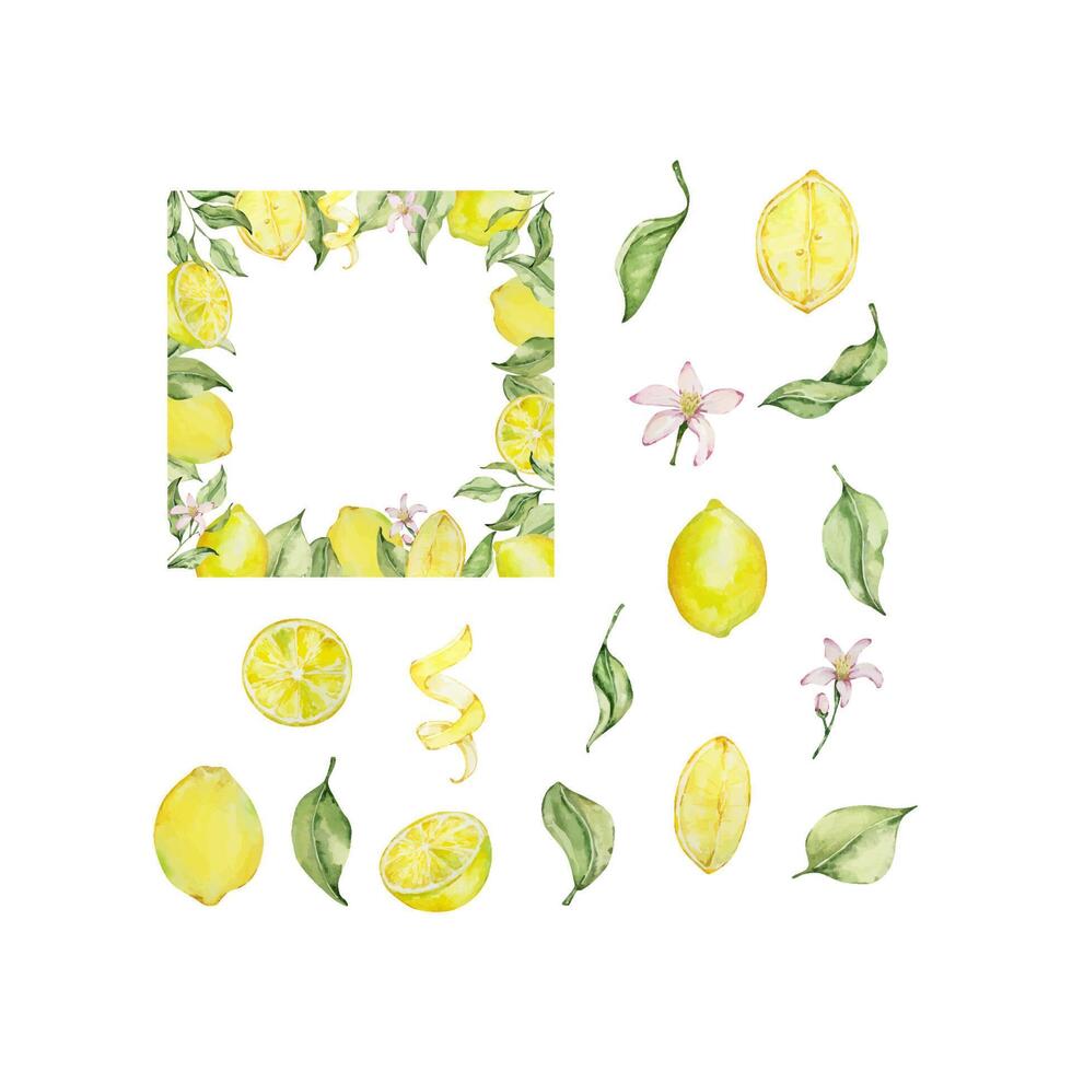 Watercolor lemon frame set with fruit, slice, leaves and flowers vector