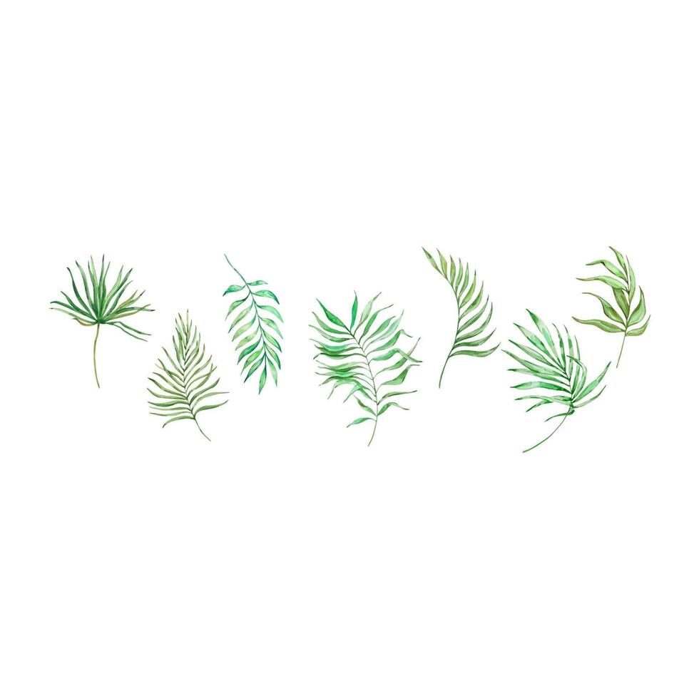 Watercolor tropical green leaves set vector