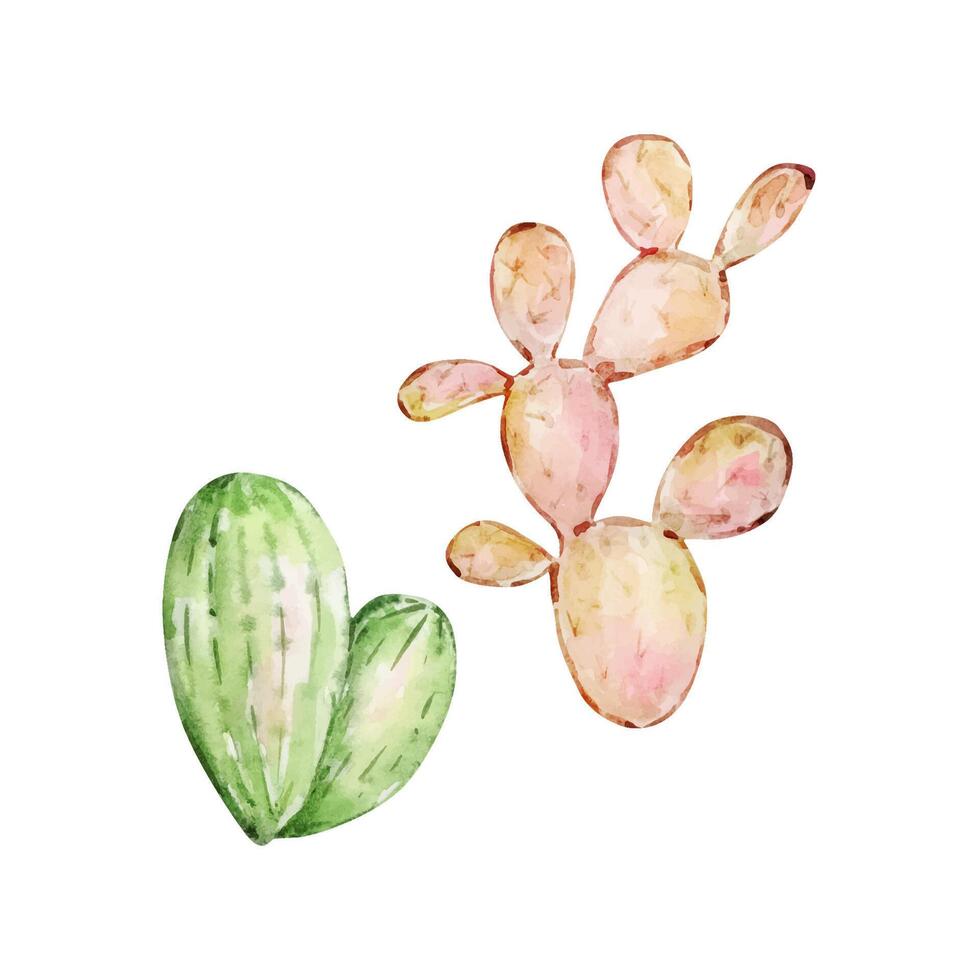 Watercolor cactus, desert mexican plants vector
