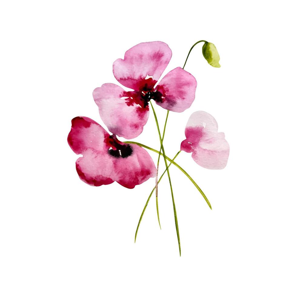 Watercolor abstract pink poppies bouquet, flowers vector