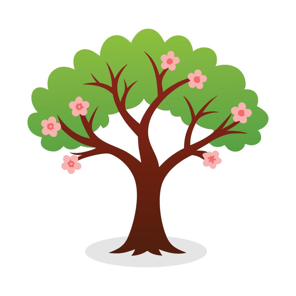 Dogwood tree flat illustration on white background. vector