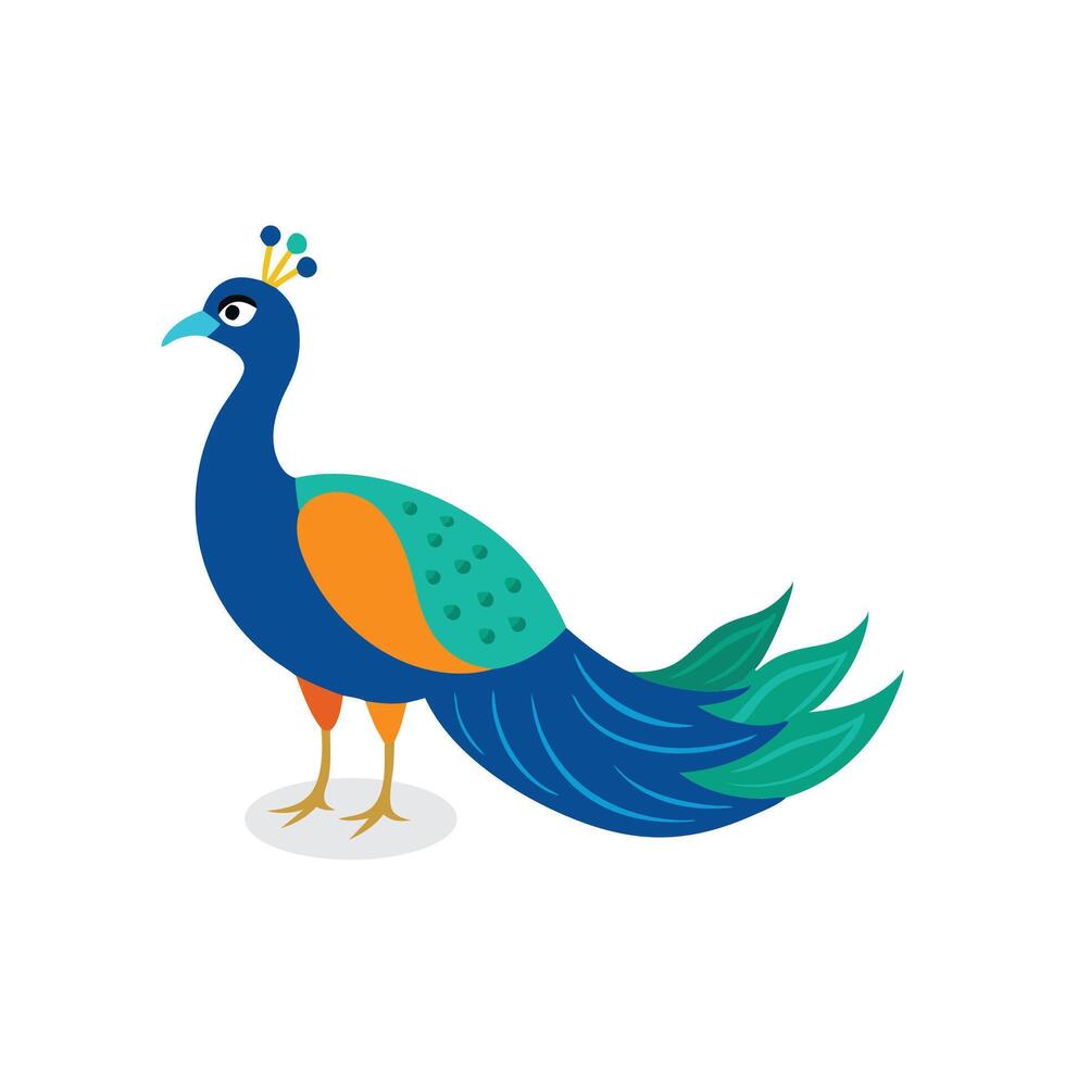 Peacock Animal isolated flat illustration on white background vector