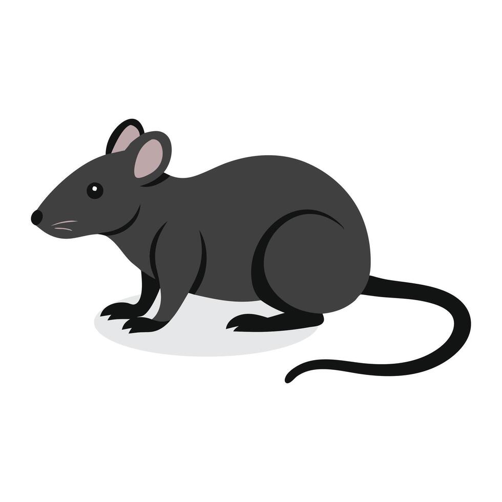 Rat Animal isolated flat illustration on white background vector