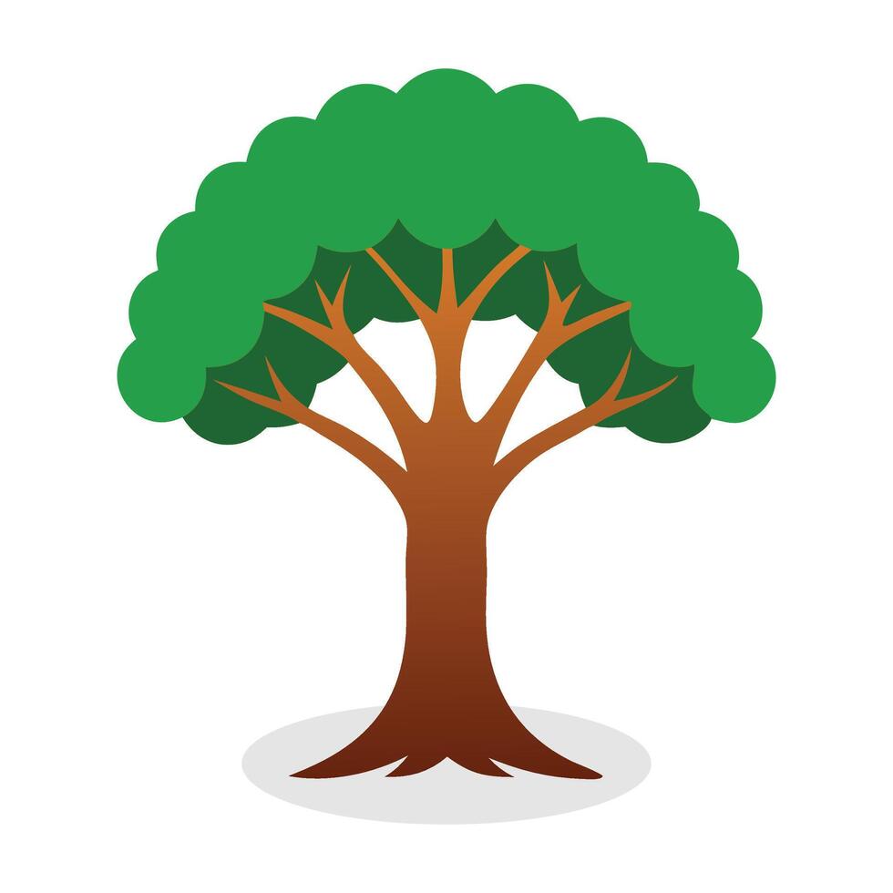 Indian sandalwolat on white backgrod tree found. vector