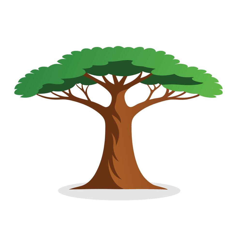 Baobab tree flat illustration on white background vector