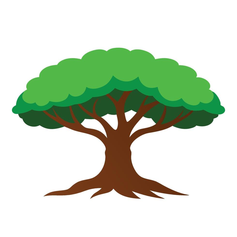 Banyan tree flat illustration on white background vector