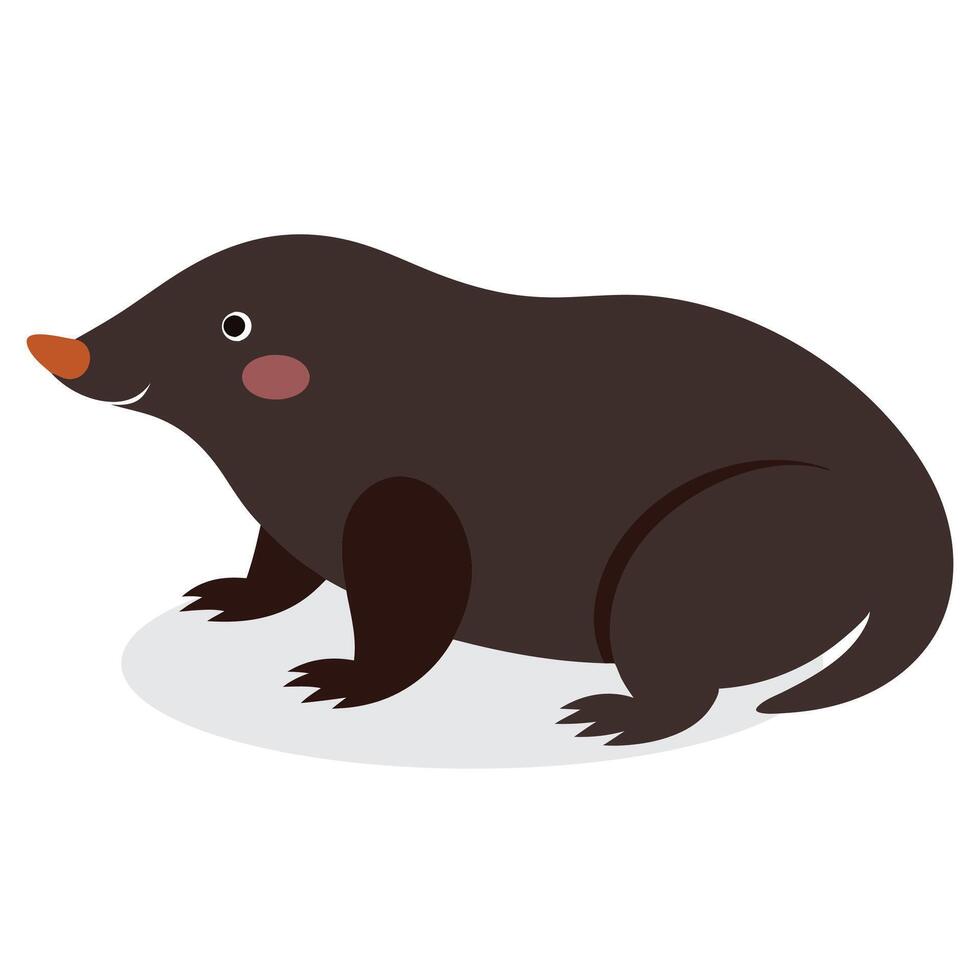 Mole Animal isolated flat illustration on white background vector