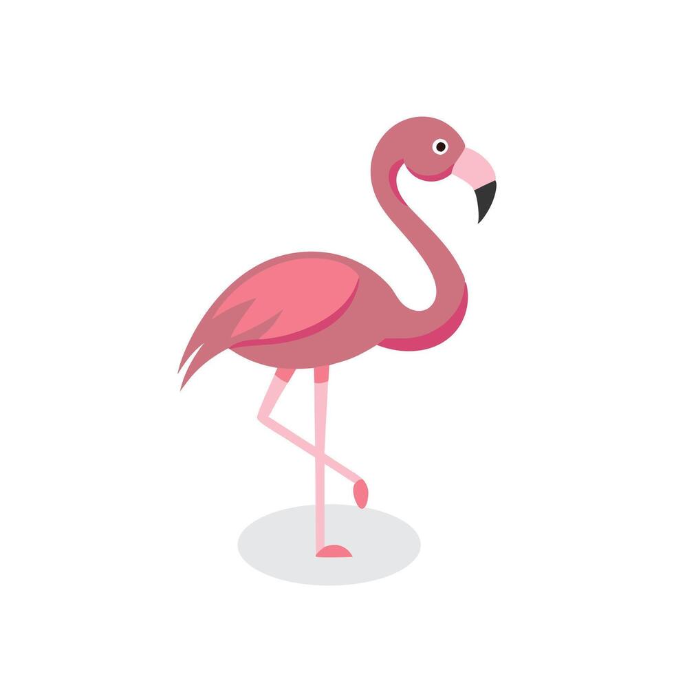 Flamingo Animal isolated flat illustration on white background vector