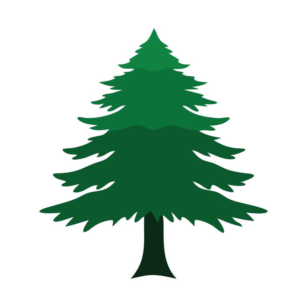 Cedar tree flat illustration on white background vector