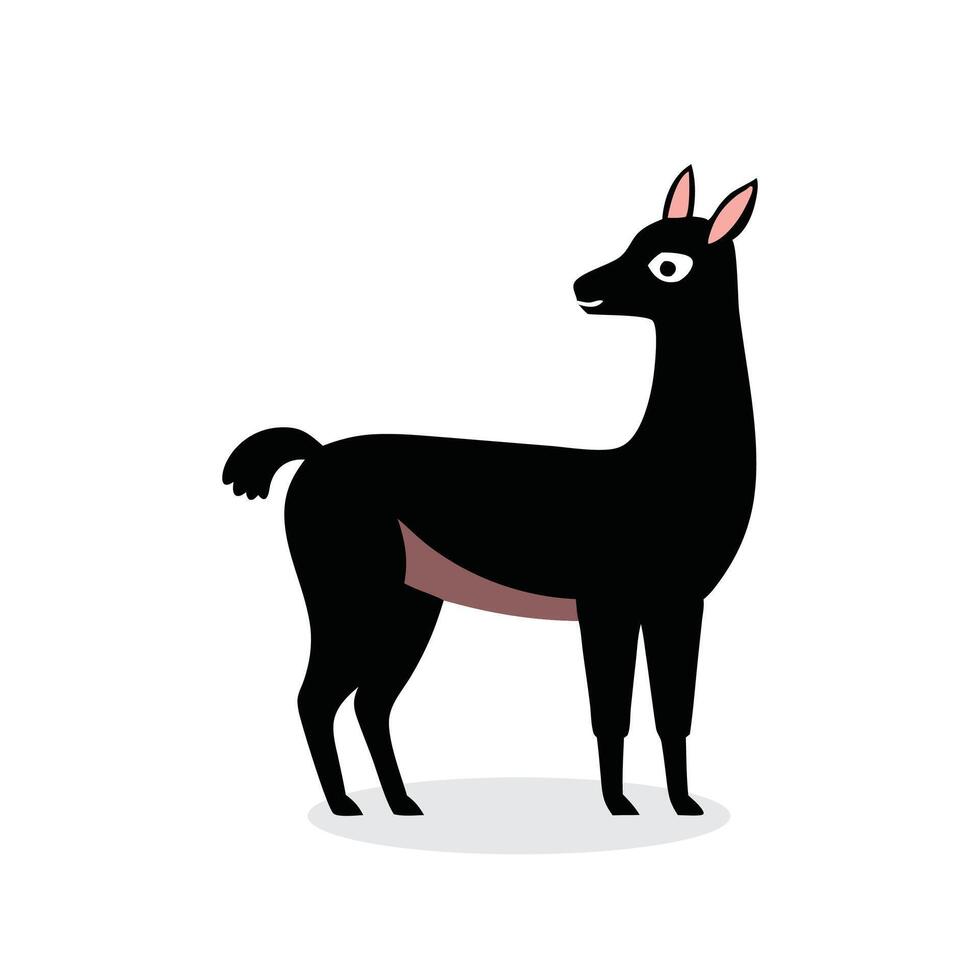 Llama Animal isolated flat illustration on white background vector