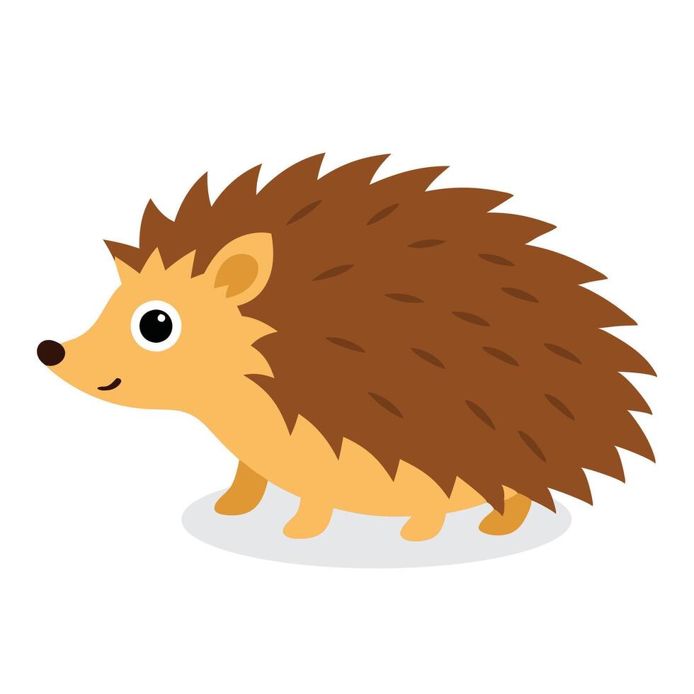 Hedgehog Animal isolated flat illustration on white background vector