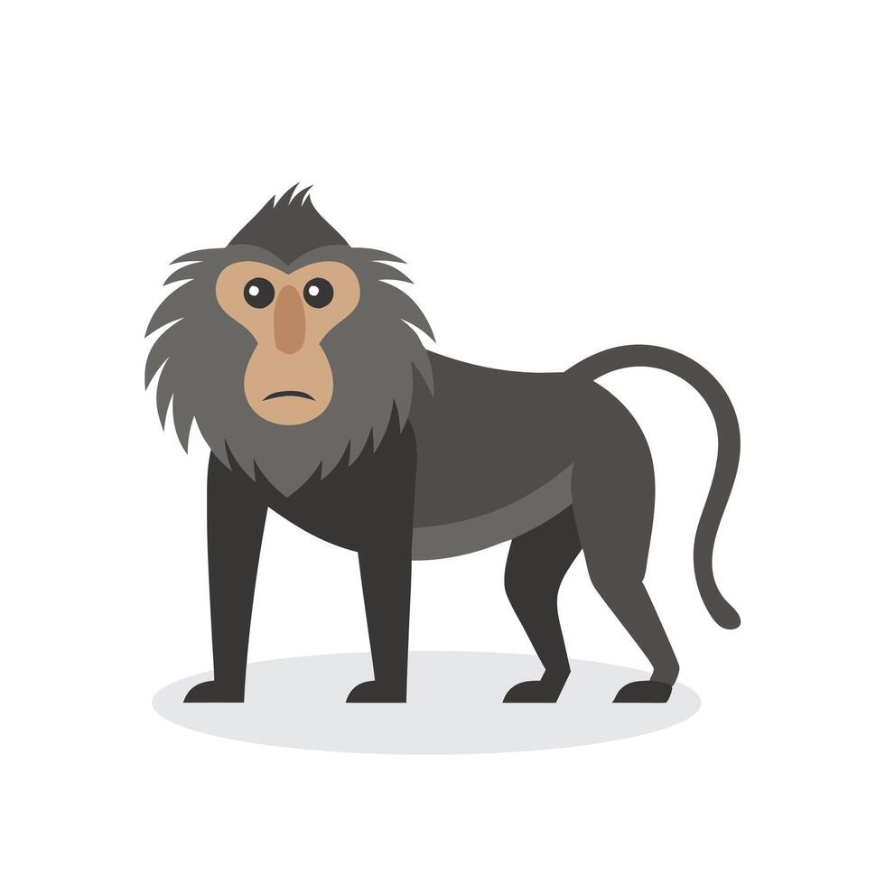Baboon Animal isolated flat illustration on white background vector