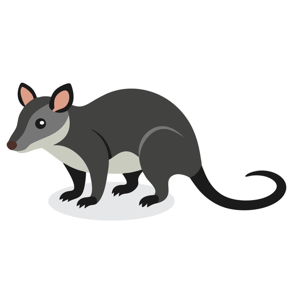 Possum Animal isolated flat illustration on white background vector