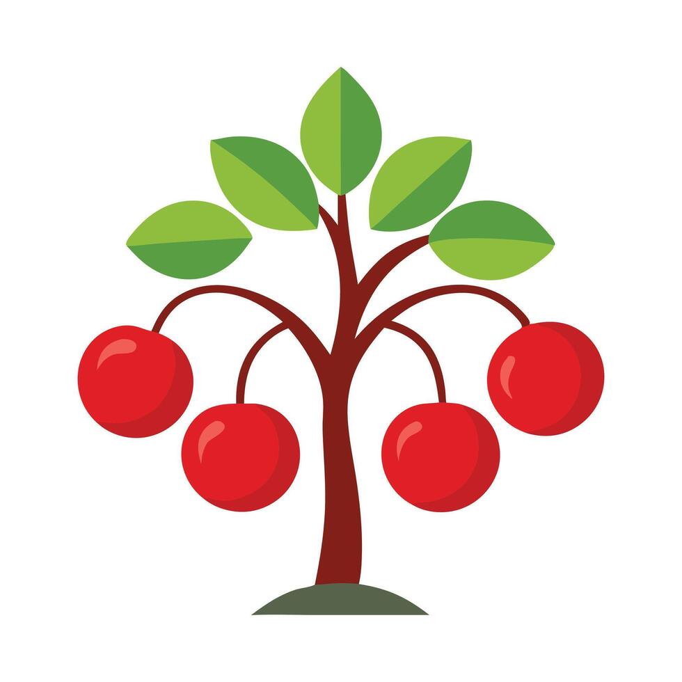 Sweet cherrry tree flat illustration on white background vector